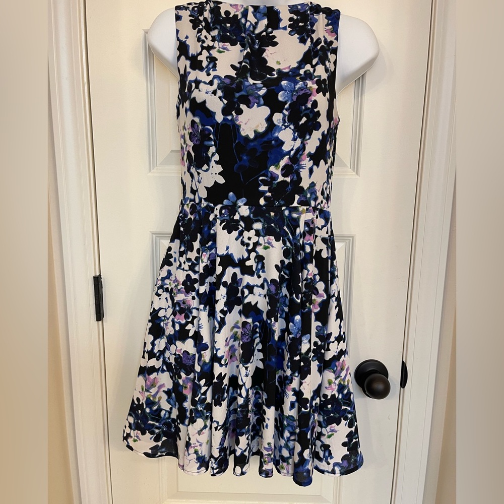 Express Spring Dress